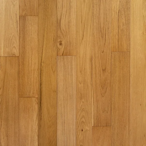 CHAMPACA | TEAK
