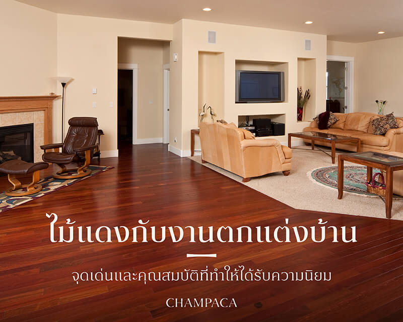 ไม้แดงกับงานตกแต่งบ้าน จุดเด่นและคุณสมบัติที่ทำให้ได้รับความนิยม