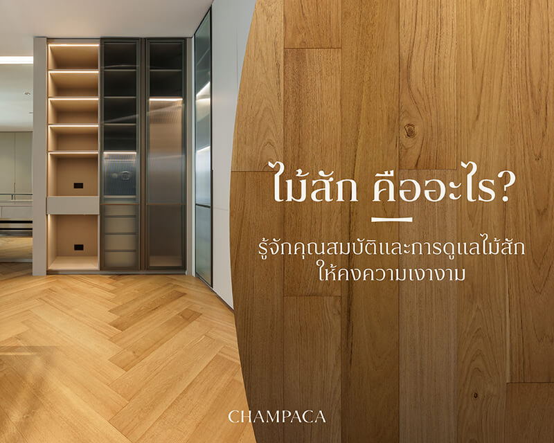 ไม้สัก คืออะไร? เสน่ห์ของไม้สุดคลาสสิกที่คนรักบ้านไม่ควรพลาด