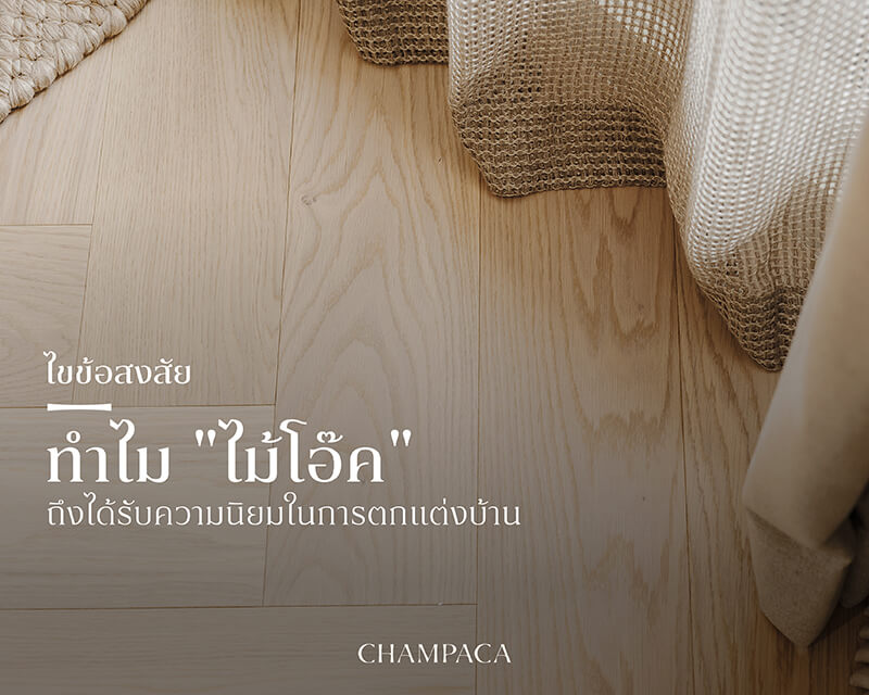 ไขข้อสงสัย ทำไม "ไม้โอ๊ค" ถึงได้รับความนิยมในการตกแต่งบ้าน