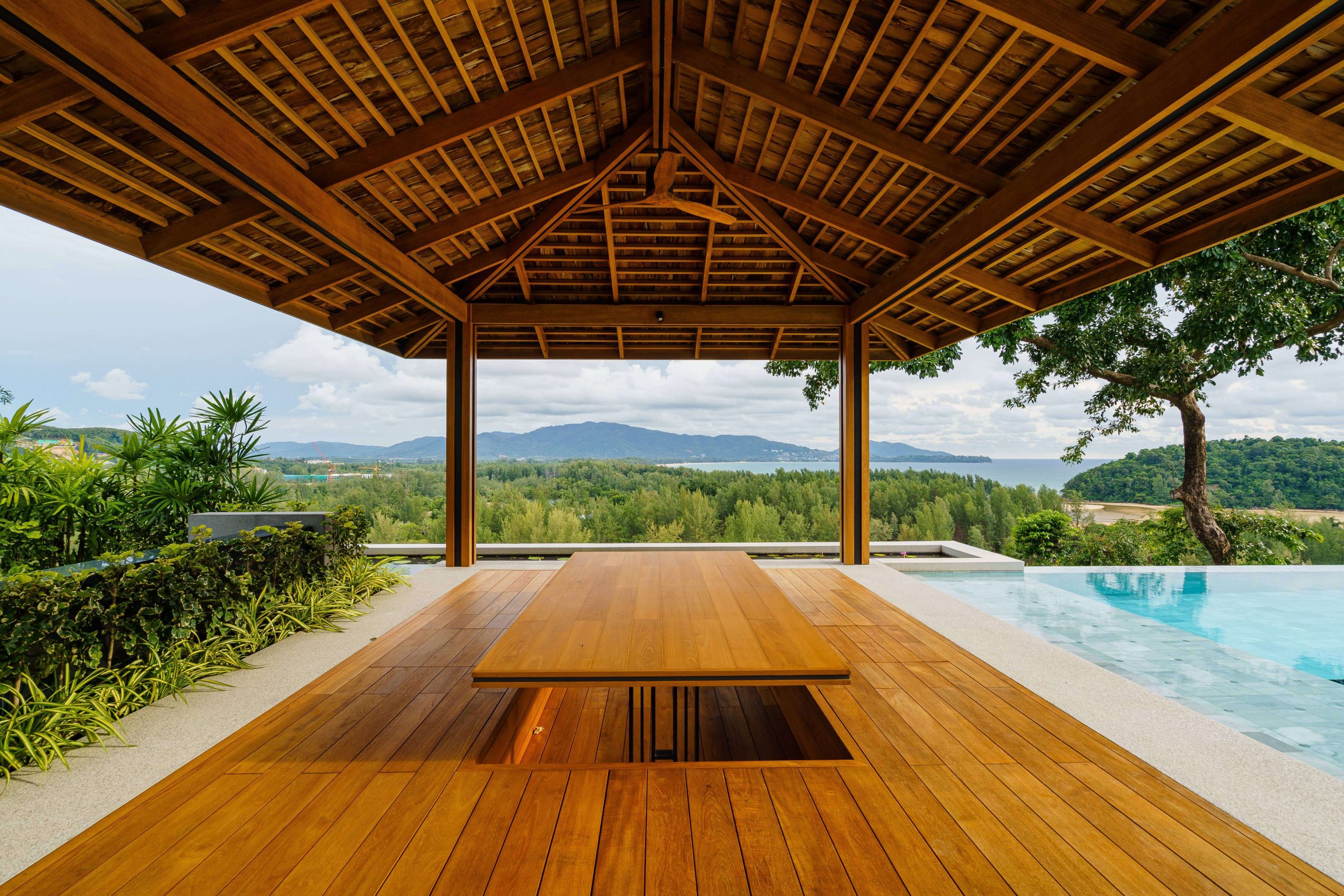 ใบไม้สัก