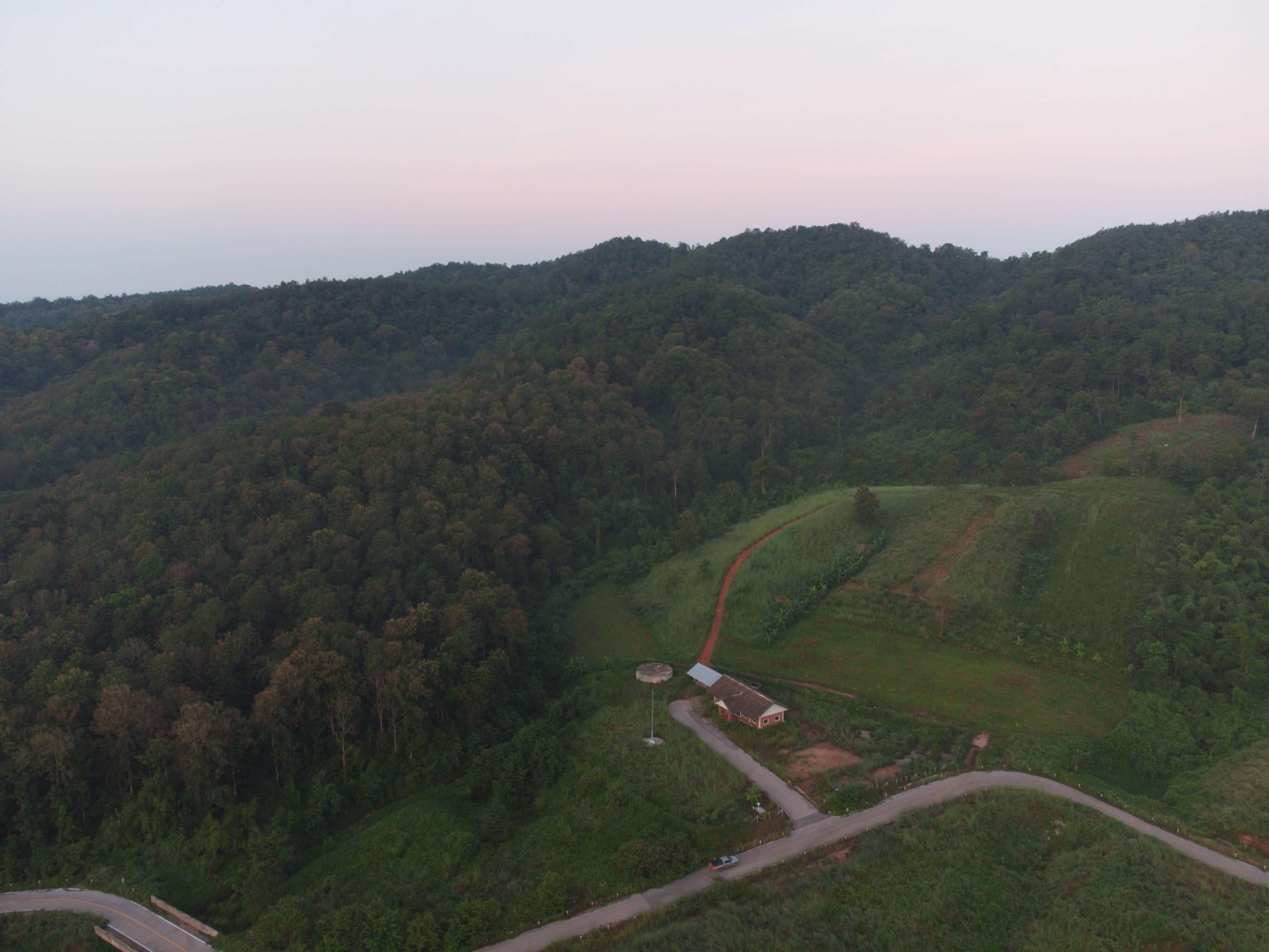 ไม้สักทอง