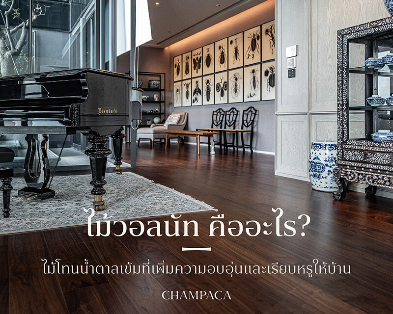 ไม้วอลนัท