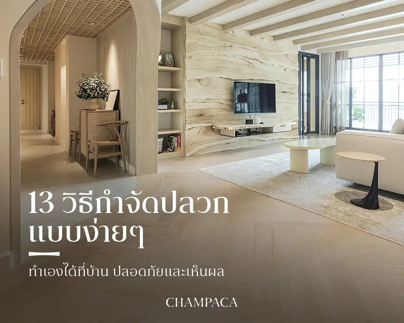 วิธีกำจัดปลวก